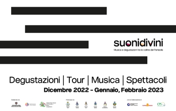 suonidivini